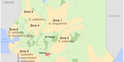 Kenia Institut für vermessung und Kartierung 2016 Einnahme
